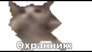 ШнИ шНа ШнАпИ мем