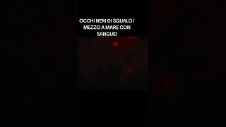 Squalo Mi Guarda In Mezzo Al Sangue Nel Mare