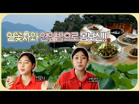 [숏클립] 연꽃차와 연잎밥으로 몸보신!! (KBS 2022.08.17, 수 방송)