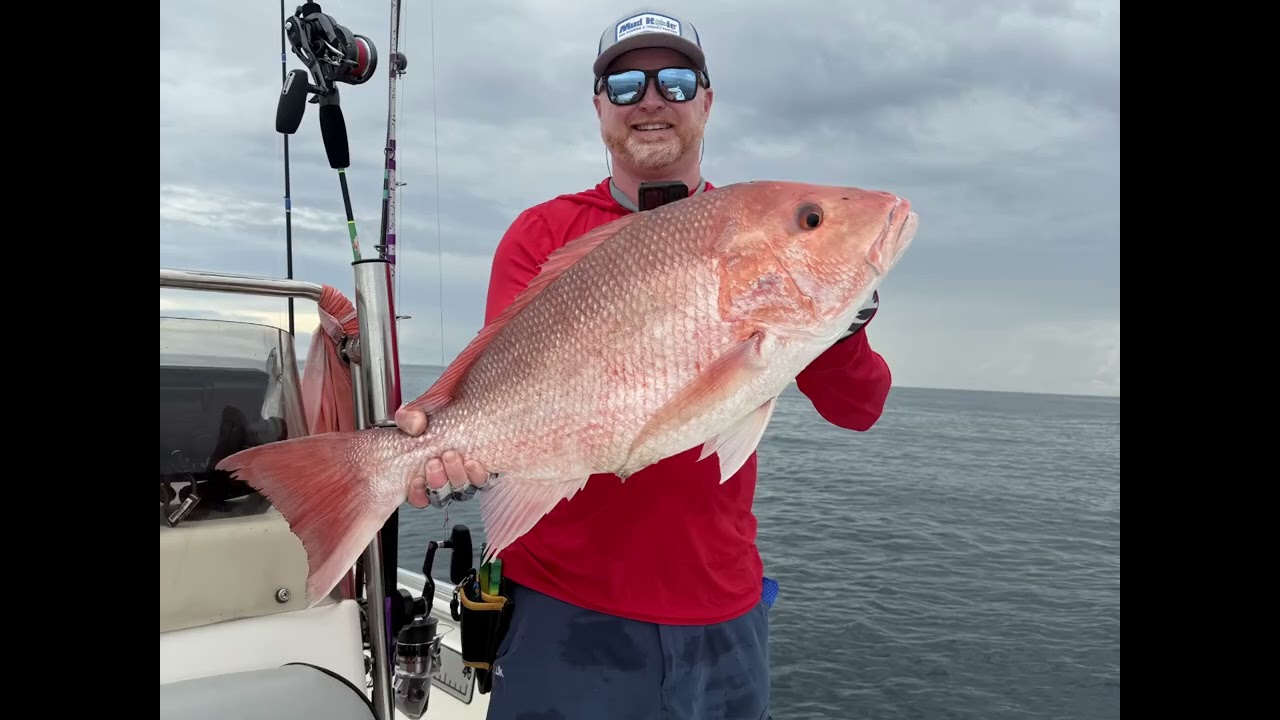Fishing 25 miles out of ponce inlet.