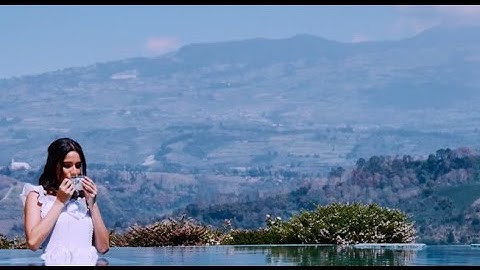 This 2017 submerge in a unique world