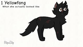 What I thought warrior cats looked like