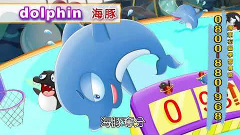 【Cocolong右脑图像学英文】单字 | mermaid + dolphin - 天天要闻