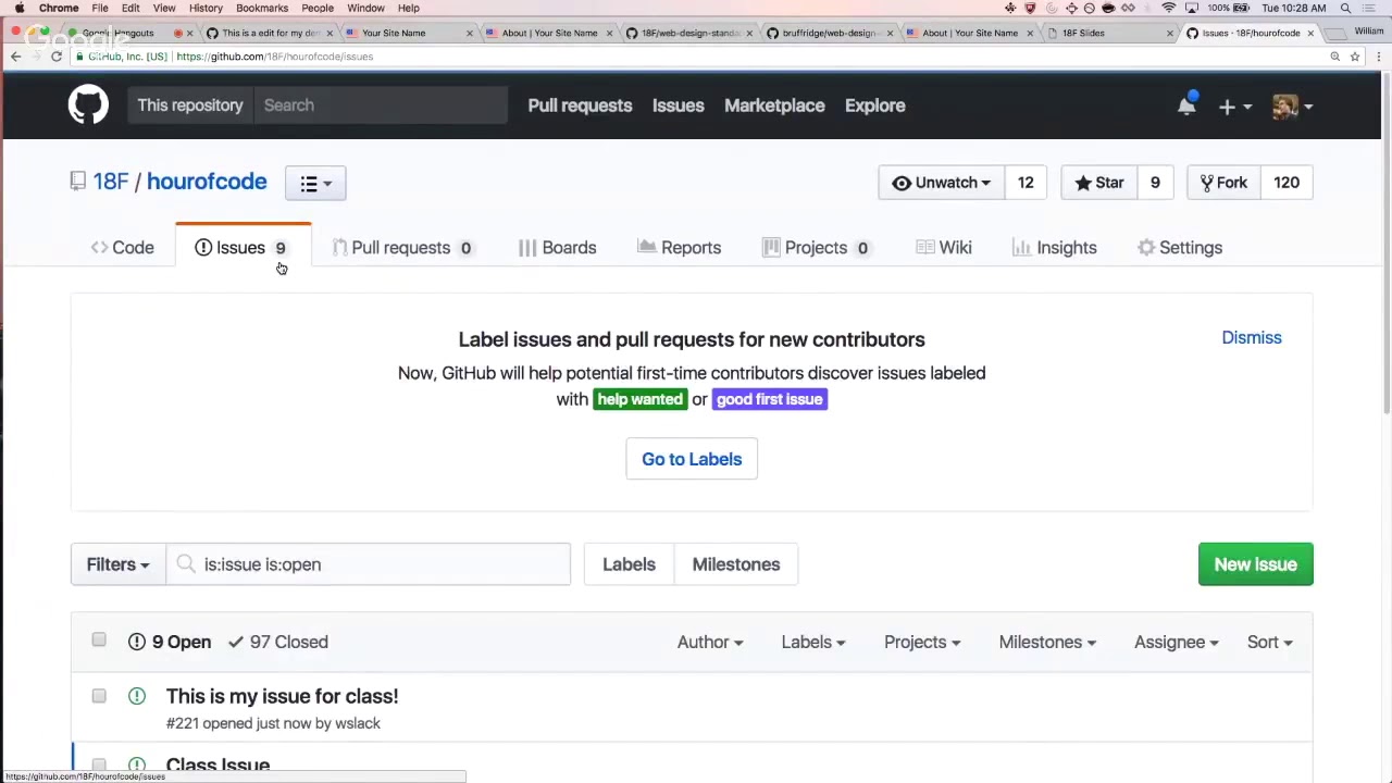 GitHub Basics: Issues - YouTube