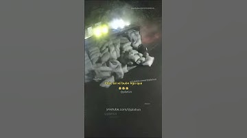 Chắc tài xế buồn ngủ quá rồi 😥 #giaothong #antoangiaothong #laixeantoan #tainangiaothong