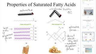 CHEM205 CH8 Part2