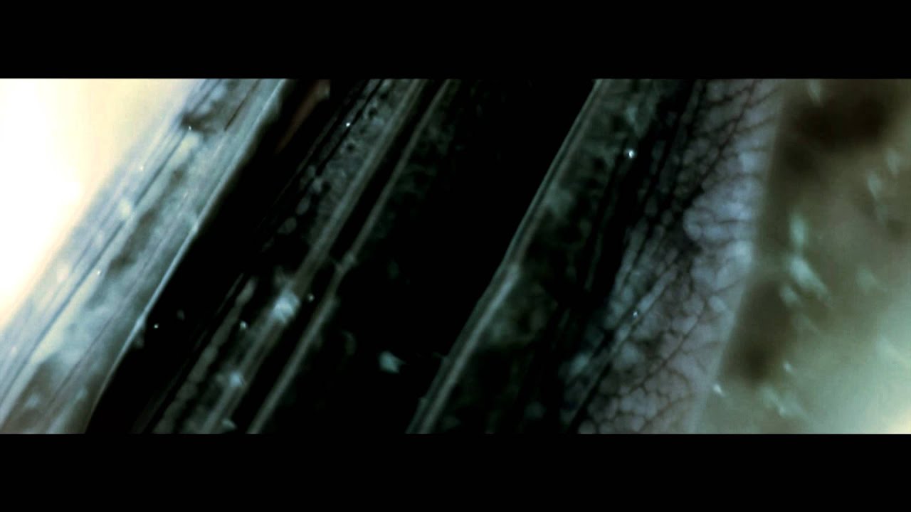 Known Rebel - Cenacle (Official Video)