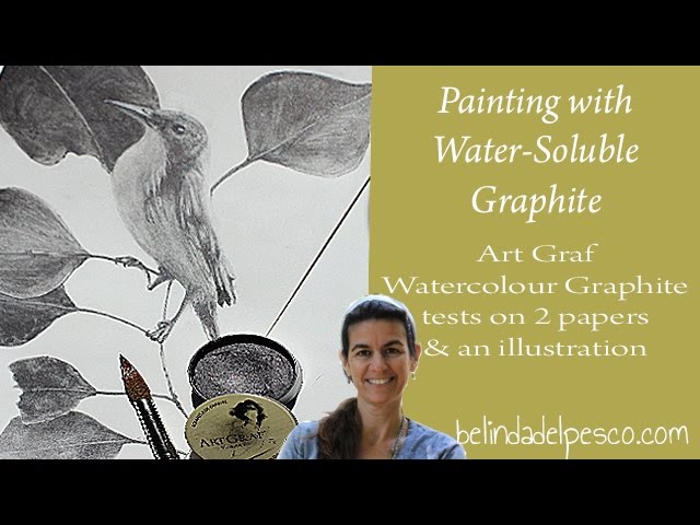 Water Soluble Graphite - Review of ArtGraf - erasable graphite painted on  paper 