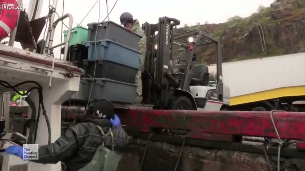 A look inside the Newfoundland snow crab fishery. YouTube