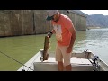 Mequinenza Spain fishing on Ebro river 2018