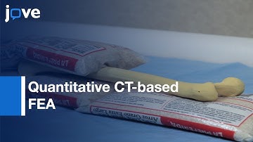 Quantitative CT-based FEA and Fracture Testing on Cadaveric Femur | Protocol Preview