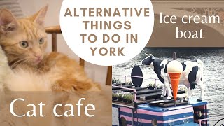 10 Alternative Things To Do In York England