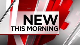 Celebrity Member of flight crew arrested for active warrant at Logan Airport Net Worth