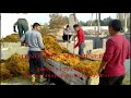 Small Kraft packing paper machine from wheat straw