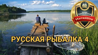 #рр4 #Русскаярыбалка4 #халява #турнир #море #янтарка #ахтуба #новости