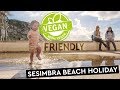 Sesimbra: Clean Beaches | Cheap Apartments | Vegan Food