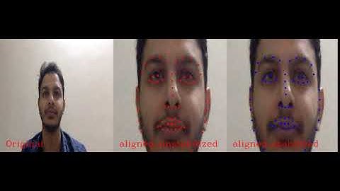 Face Alignment with optical flow