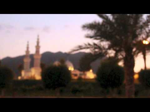 مرادفات ح ب رواء