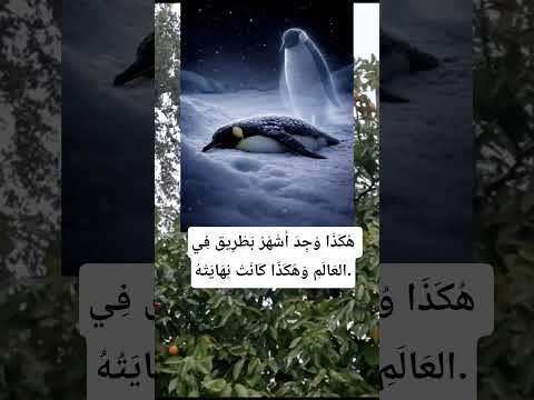 ه ك ذ ا و ج د أ ش ه ر ب ط ر يق ف ي الع ال م و ه ك ذ ا ك ان ت ن ه اي ت ه اكسبلور 