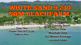 (#71) White Sand Beach Farm | 9,240 SQM | PRICE 5M | Clean Title | Quality & Affordable |