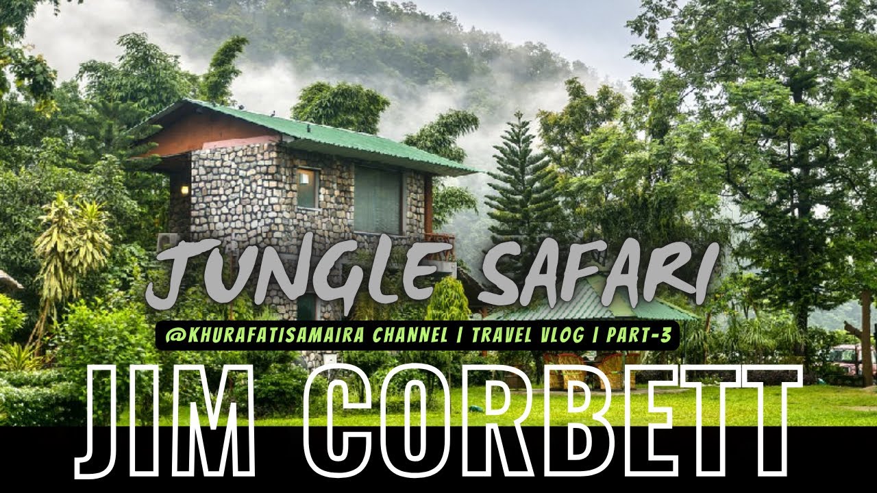 Safari at Jim Corbett National Park - 4K Video Hindi | हिन्दी 🐅🌿