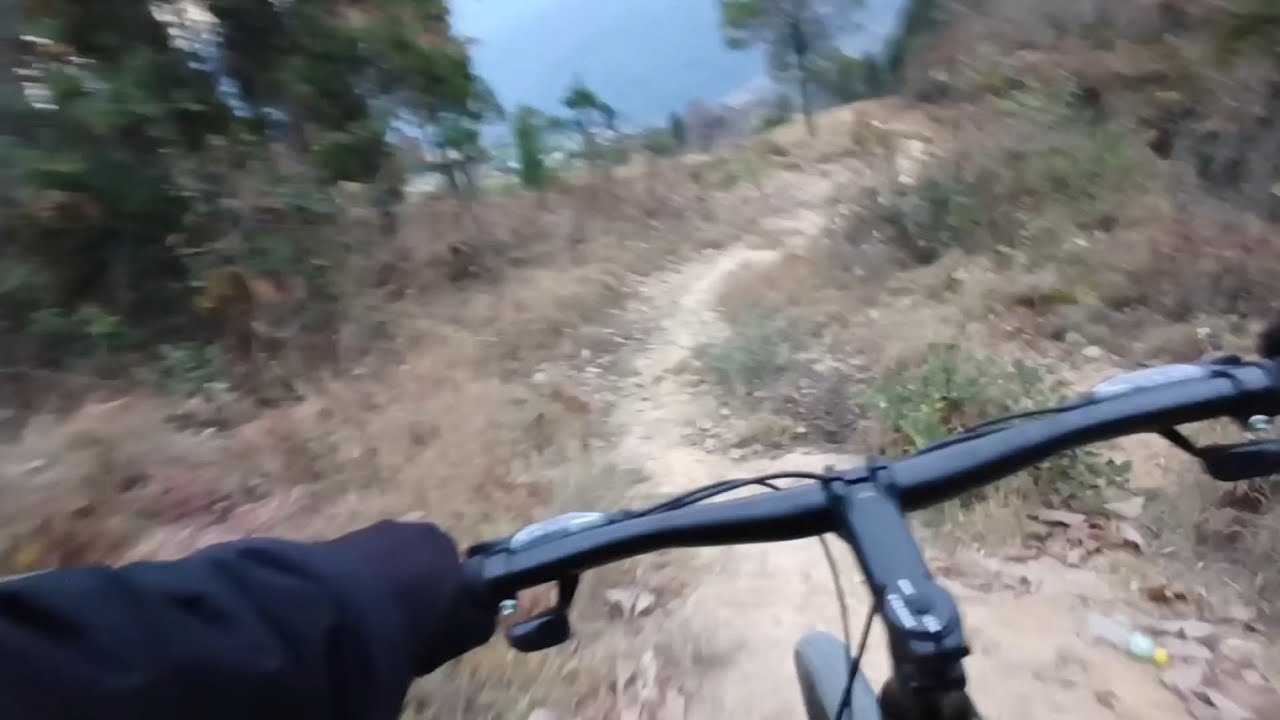 I Went Cycling downhill in the Forest