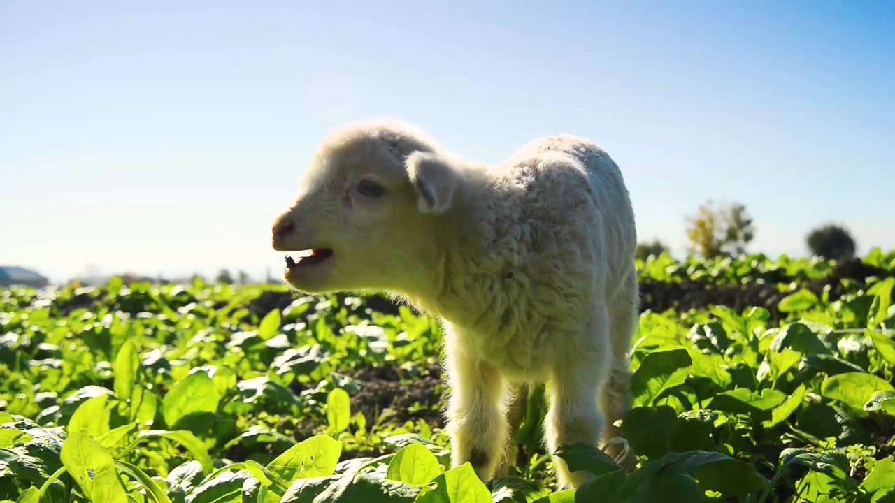 The new look EADT hits Suffolk THIS Thursday...