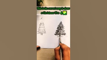 Realistic Christmas Tree Drawing 🌲 #shorts #chrismastree #chrismasspecial #art #realistic #subscribe