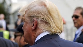 What Other Hairstyle Would Have Been Better For Trump Would it Have Been Good if he Shaved his Head?