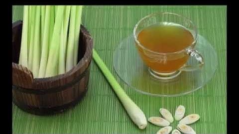 tin tổng hợp - Công  dụng  chữa  bệnh  bất  ngờ  của cây  sả