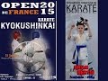 Brian bertin open de france kyokushin benjamin  de 40 kg