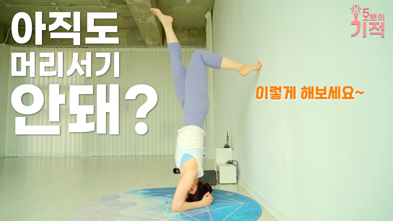 머리서기 정말 잘 하는 법 #눈이맑아지는 #머리서기