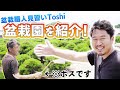 【平松春松園】盆栽職人見習いはここで修行している!