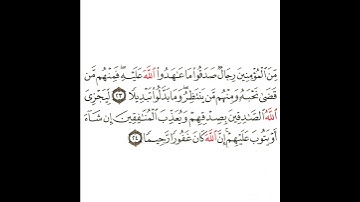سورة الأحزاب 12 القسم الثاني عشر تكرار كيفي من .. من المؤمنين رجال صدقوا ما عاهدوا .. إلى .. رحيما
