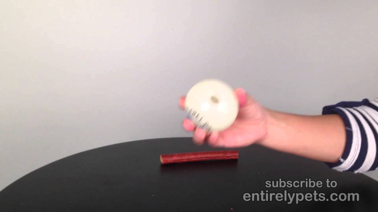 Dog Glow Ball YouTube