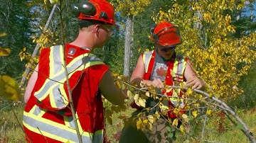 NAIT Forest Technology: Training in Reforestation and Ecology
