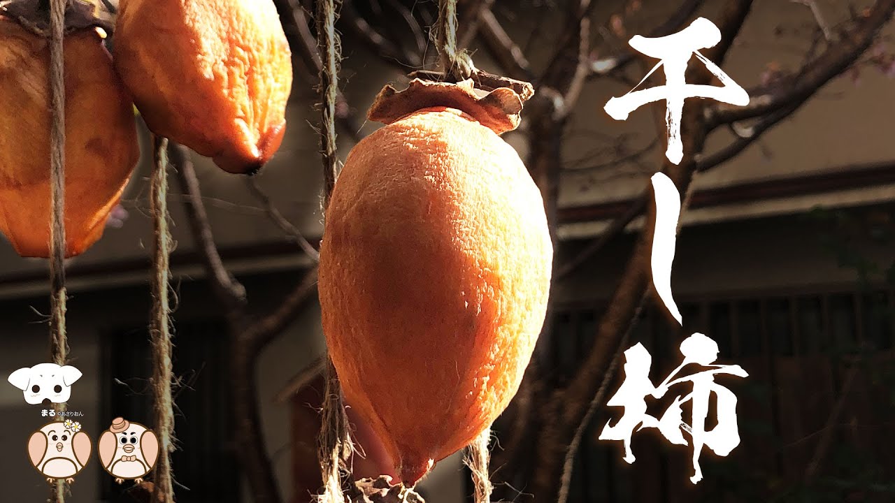竹垣づくり しゅろ縄の結び方 いぼ結び Youtube