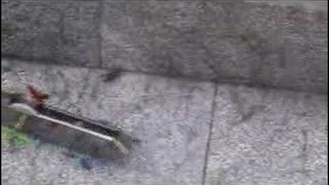 robot loves grasshopper