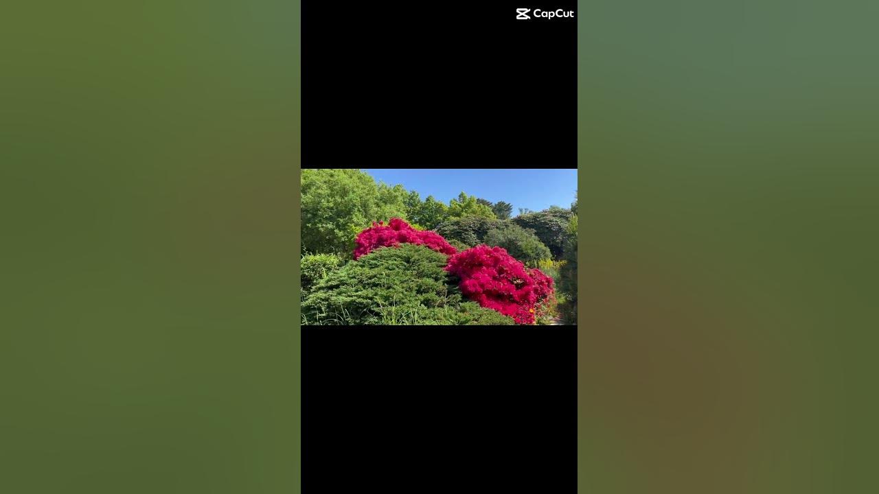 Botanischer Garten Solingen Germany YouTube