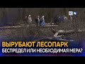 Зачем вырубают деревья в лесопарке Краснодара?