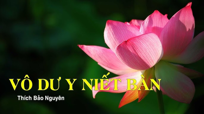 Vô Dư Y Niết Bàn - Khám Phá Con Đường Giải Thoát và Tâm Linh Cao Cả