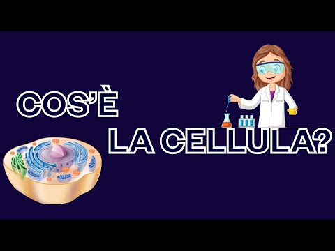 Video: La Cellula Come Unità Elementare Di Vita