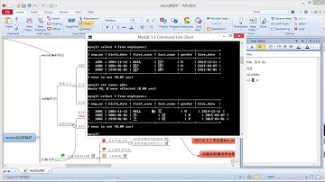 Mysql进阶9 流程控制（while循环语句）