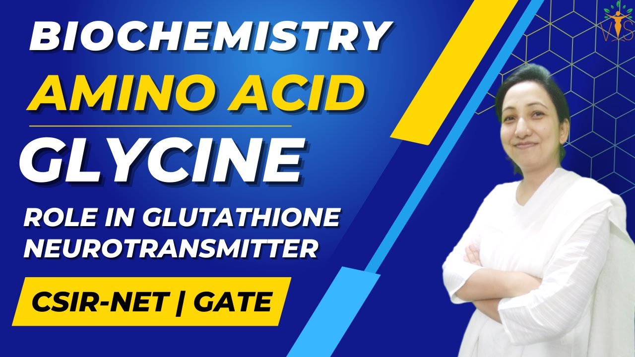 Amino acid Glycine Glycine Neurotransmitter GABA Glutamate Glycine Glycine Glutathione