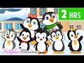 Five little penguins went out one day  more kids songs  nursery rhymes