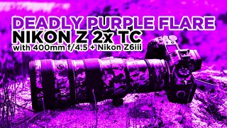 Nikon Deadly Purple Flare Solved - Nikon Z TC-2.0x on 400mm f4.5