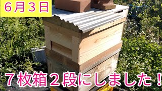 7枚箱を継箱して、ようやく2段にしました！ - YouTube