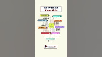 Networking Essentials Explained | CCNA Basics for Beginners | Learn Networking Fast