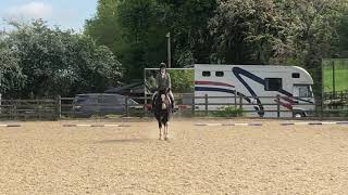 Georgie Hadaway and Cynheidrefawr Ceidrych BE novice 112 dressage test