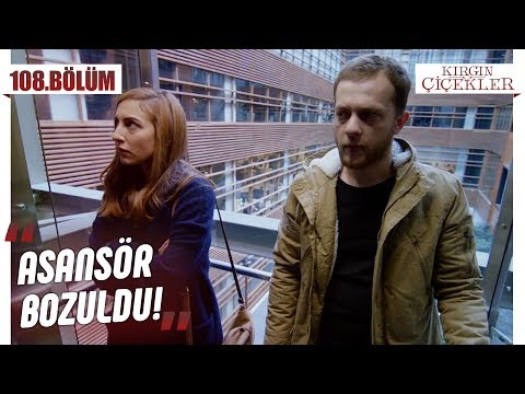 Cemre ile Serkan arasındaki buzlar eriyor mu? - Kırgın Çiçekler 108.Bölüm